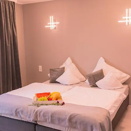 Borowski Guest house *