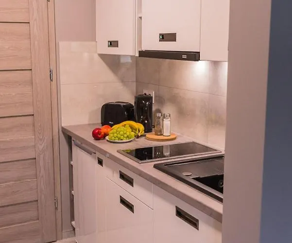 Borowski Guest house